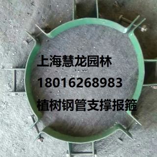 大樹報(bào)箍，植樹支撐報(bào)箍，鋼支撐報(bào)箍