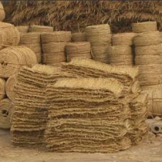 上海綠化草繩草包批發(fā)零售，土球繩，繞樹(shù)繩