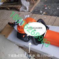 上海浦東，綠化割草，修剪旺季，注意綠籬機，草坪機，割灌機 日常保養(yǎng)